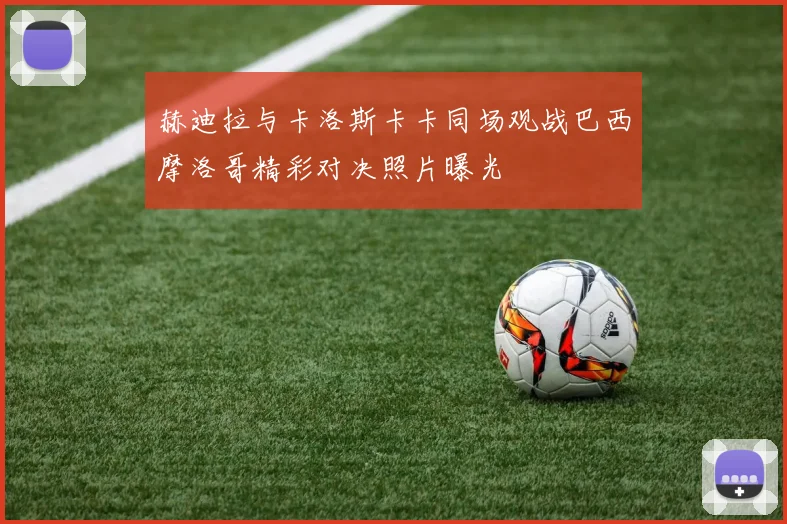 赫迪拉与卡洛斯卡卡同场观战巴西摩洛哥精彩对决照片曝光